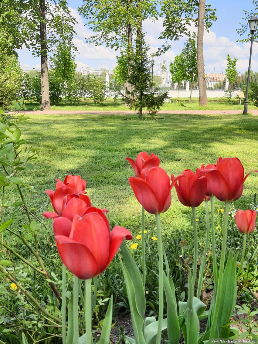 Майская прогулка по Твери. Ч.2, Дворцовый Сад