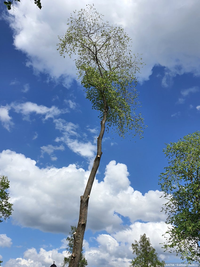 Майская прогулка по Твери. Ч.2, Дворцовый Сад