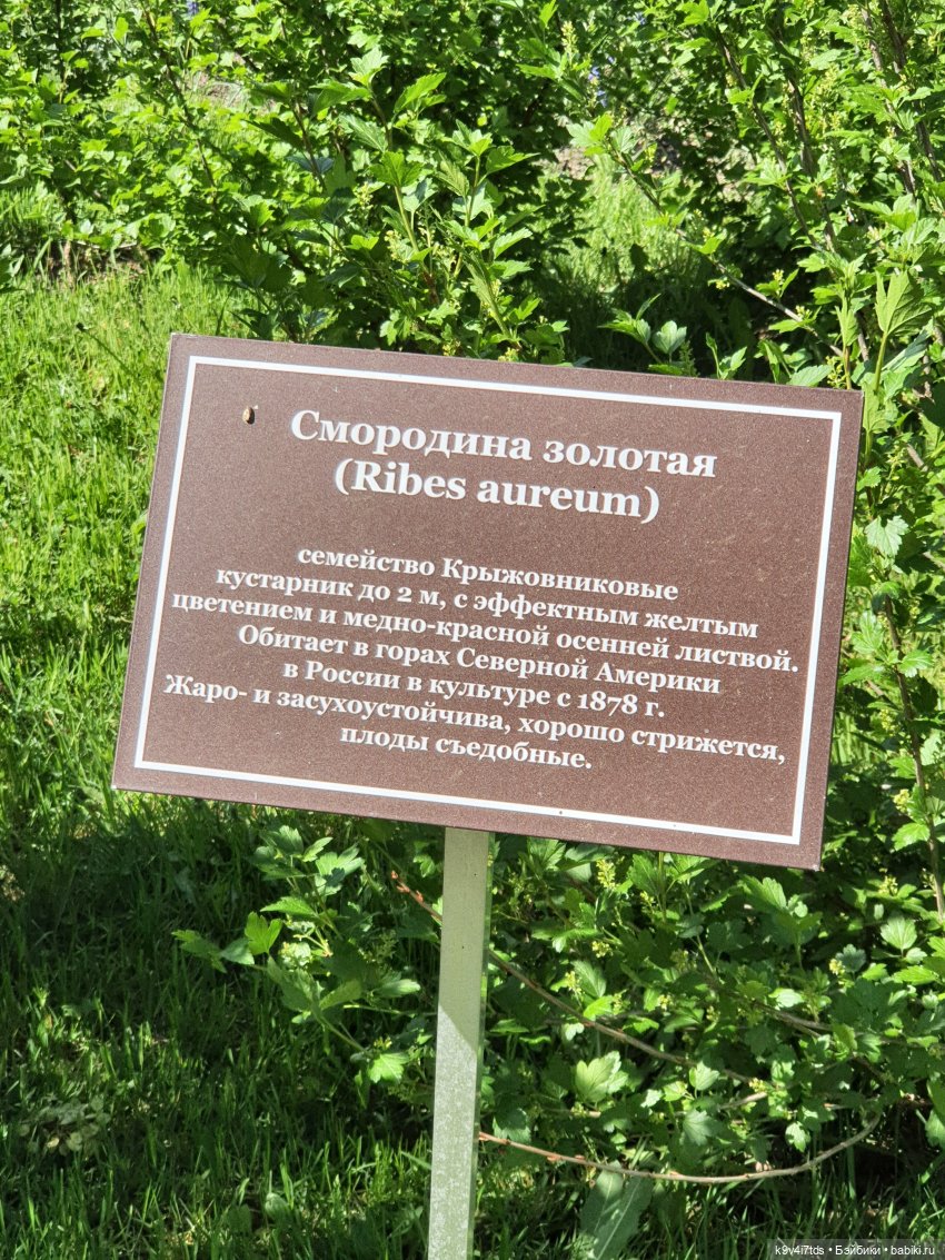 Майская прогулка по Твери. Ч.2, Дворцовый Сад