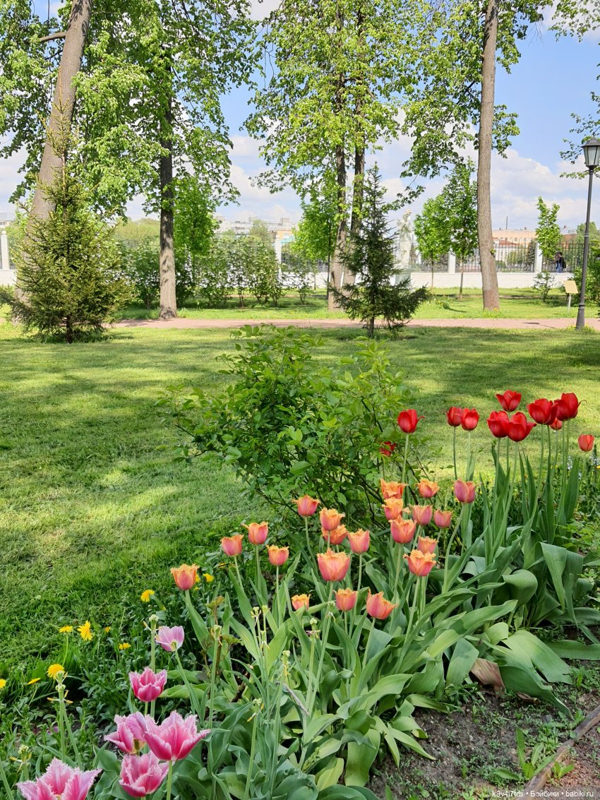 Майская прогулка по Твери. Ч.2, Дворцовый Сад