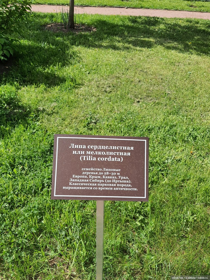 Майская прогулка по Твери. Ч.2, Дворцовый Сад