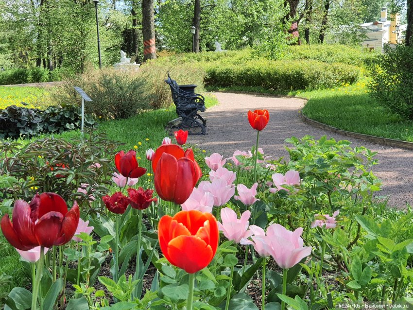 Майская прогулка по Твери. Ч.2, Дворцовый Сад