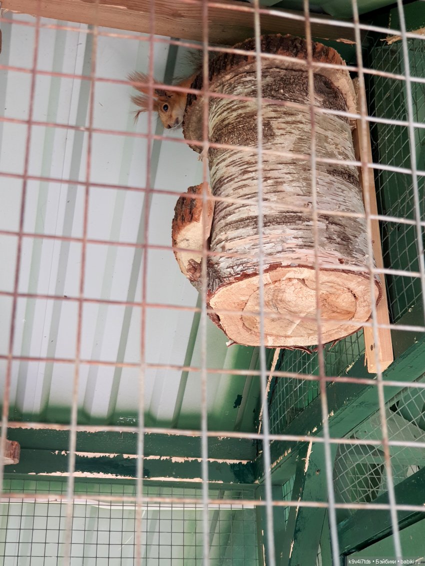 Майская прогулка по Твери. Ч.2, Дворцовый Сад