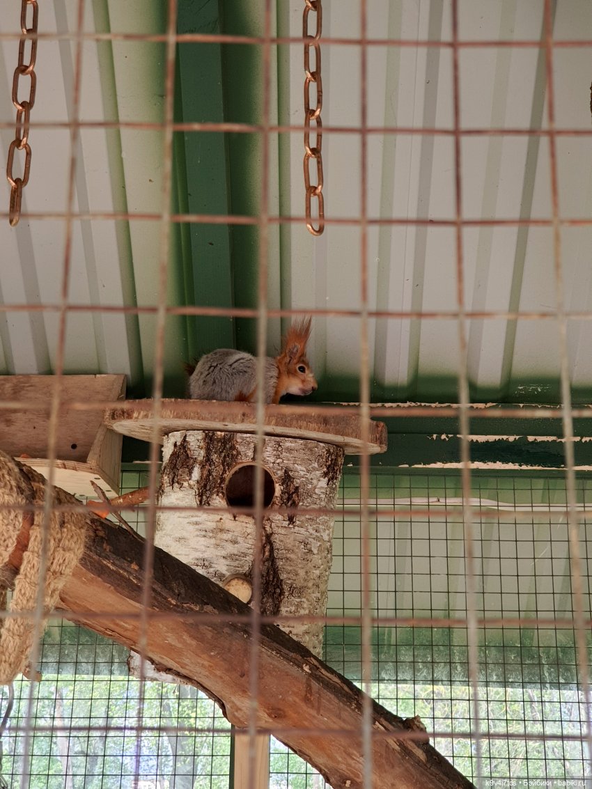 Майская прогулка по Твери. Ч.2, Дворцовый Сад