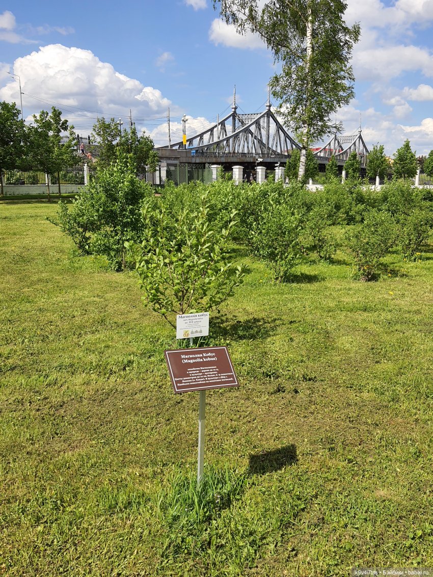 Майская прогулка по Твери. Ч.2, Дворцовый Сад
