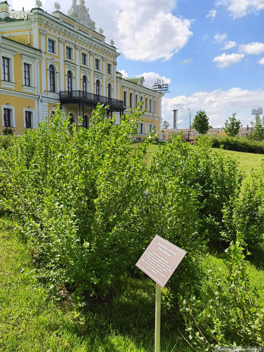 Майская прогулка по Твери. Ч.2, Дворцовый Сад