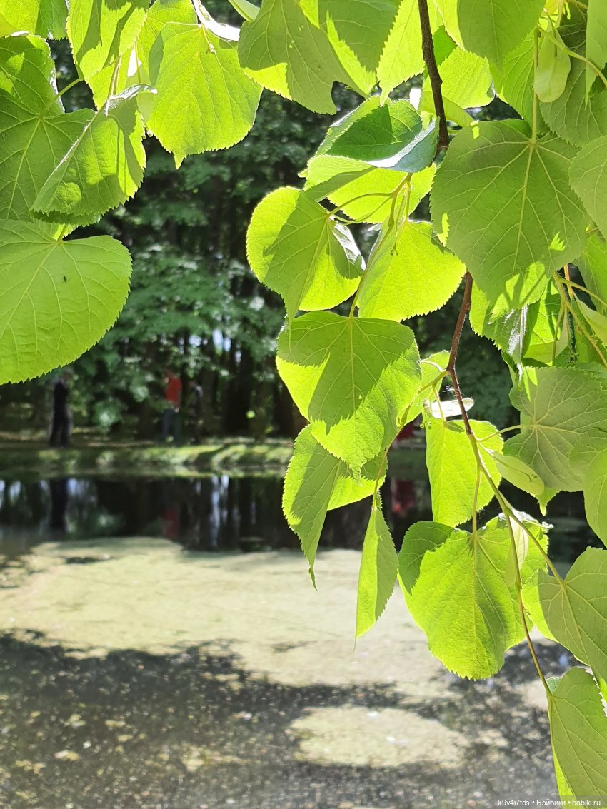 Пушкинский праздник поэзии в Берново 2021 г