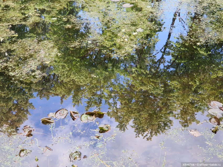 Пушкинский праздник поэзии в Берново 2021 г