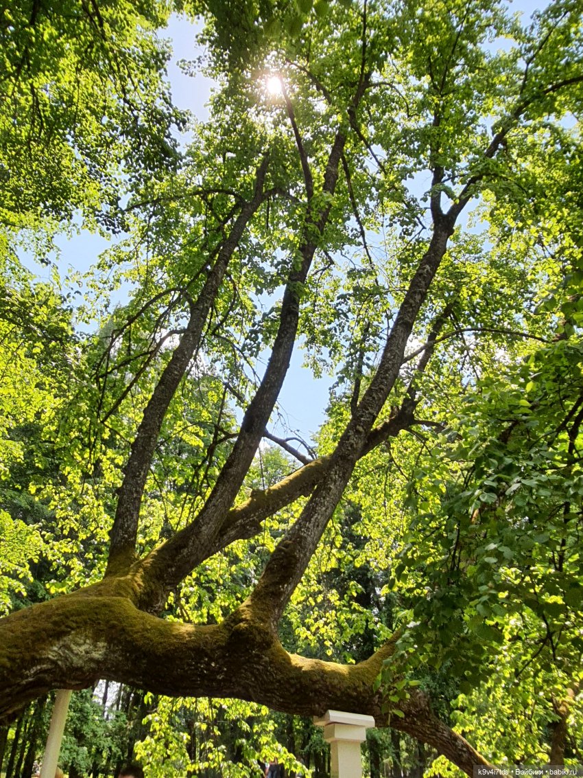 Пушкинский праздник поэзии в Берново 2021 г