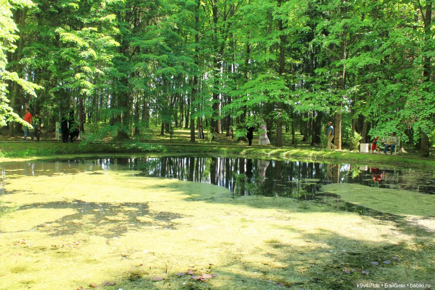 Пушкинский праздник поэзии в Берново 2021 г (фото 7)