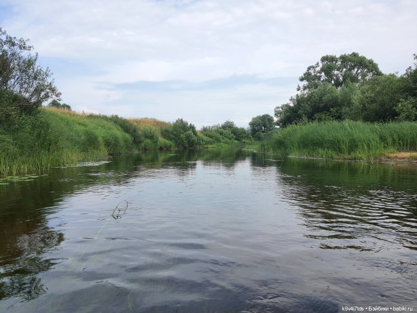 Перед грозой — Куклы Meadow dolls (Медовушки): BJD (БЖД) (фото 5)