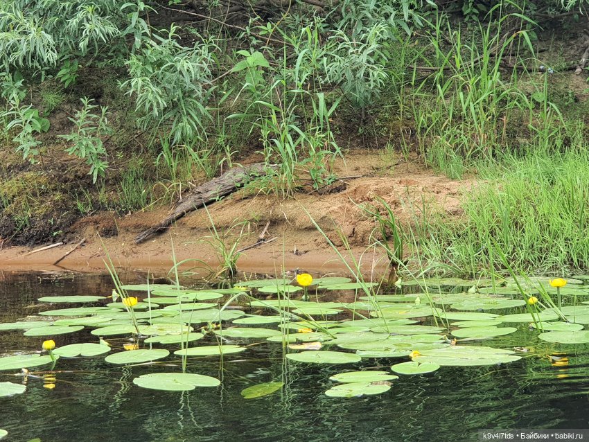 Перед грозой — Куклы Meadow dolls (Медовушки): BJD (БЖД) (фото 4)