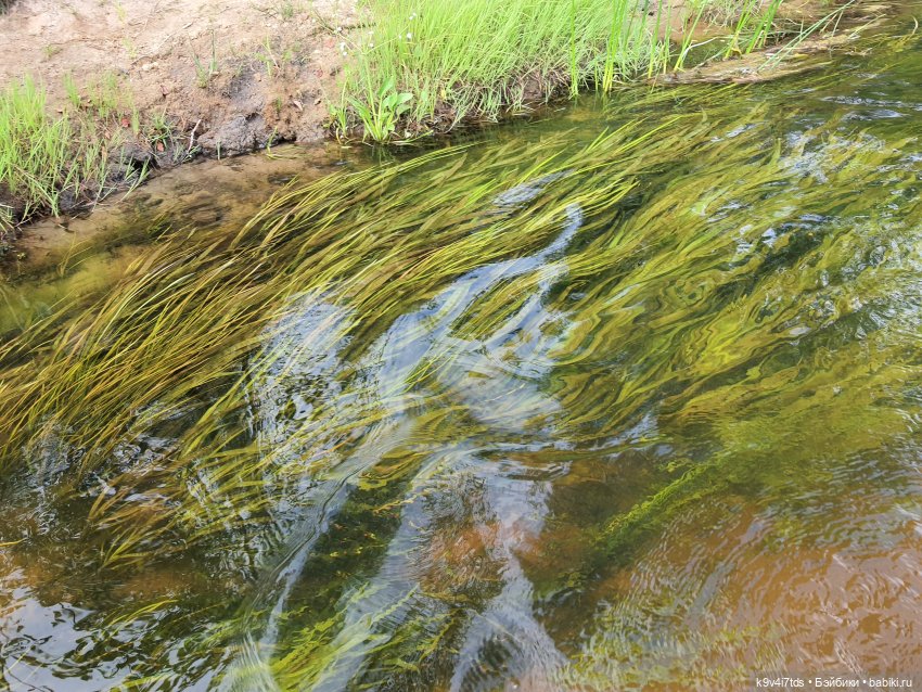 Перед грозой — Куклы Meadow dolls (Медовушки): BJD (БЖД) (фото 7)