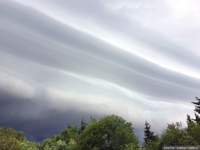 Перед грозой — Куклы Meadow dolls (Медовушки): BJD (БЖД)