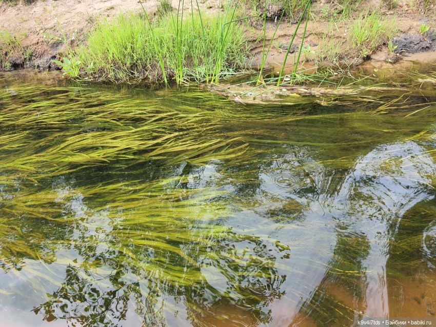 Перед грозой — Куклы Meadow dolls (Медовушки): BJD (БЖД) (фото 6)