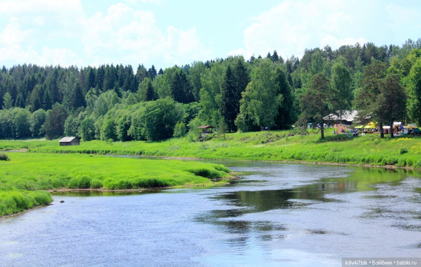 "Троицкие гуляния" в Василёво 2021 г (фото 8)