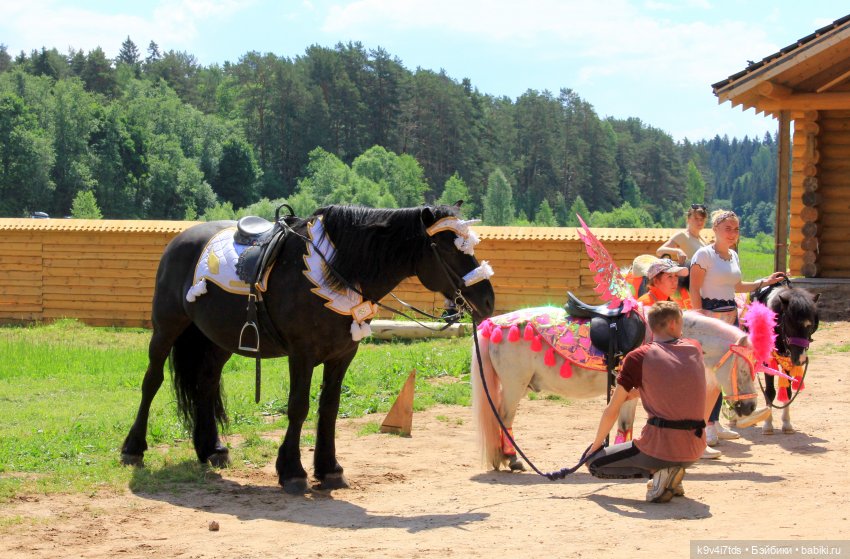 "Троицкие гуляния" в Василёво 2021 г