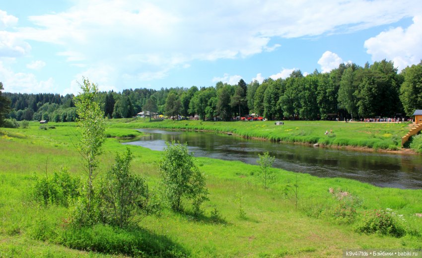 "Троицкие гуляния" в Василёво 2021 г (фото 3)