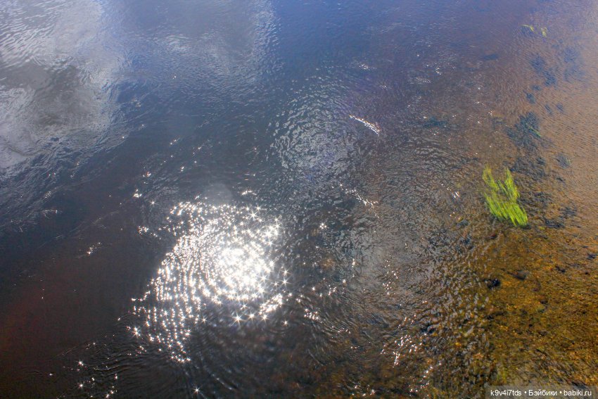 "Троицкие гуляния" в Василёво 2021 г (фото 10)