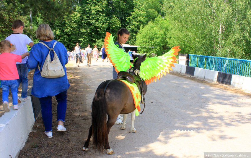 "Троицкие гуляния" в Василёво 2021 г