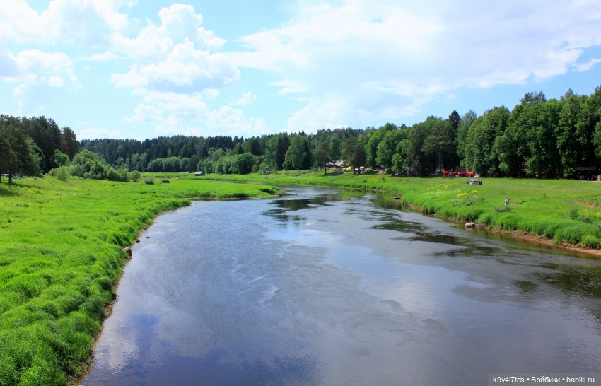"Троицкие гуляния" в Василёво 2021 г (фото 7)