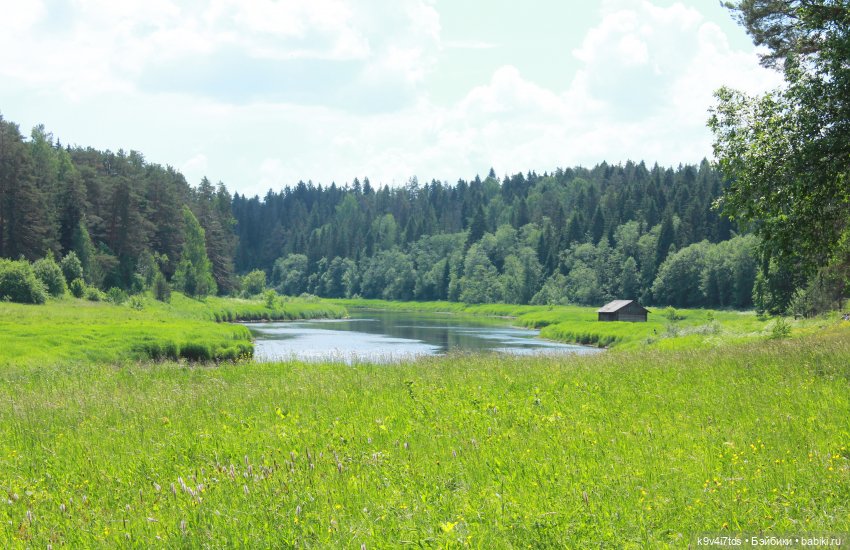 "Троицкие гуляния" в Василёво 2021 г