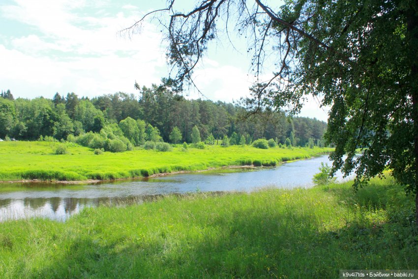 "Троицкие гуляния" в Василёво 2021 г., продолжение
