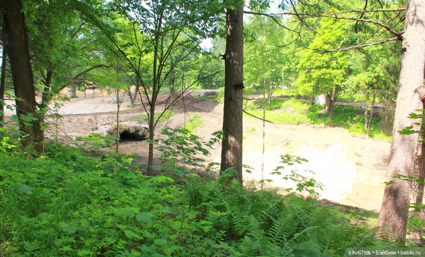 "Троицкие гуляния" в Василёво 2021 г., продолжение