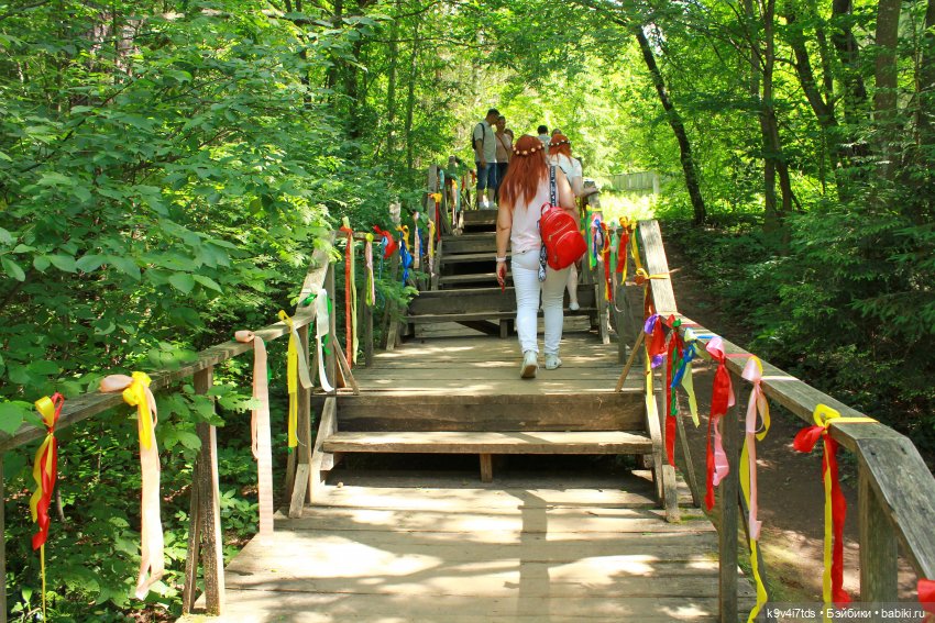 "Троицкие гуляния" в Василёво 2021 г., продолжение