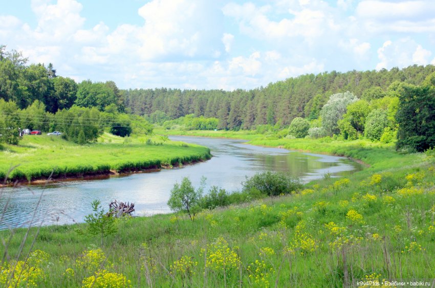 "Троицкие гуляния" в Василёво 2021 г., продолжение