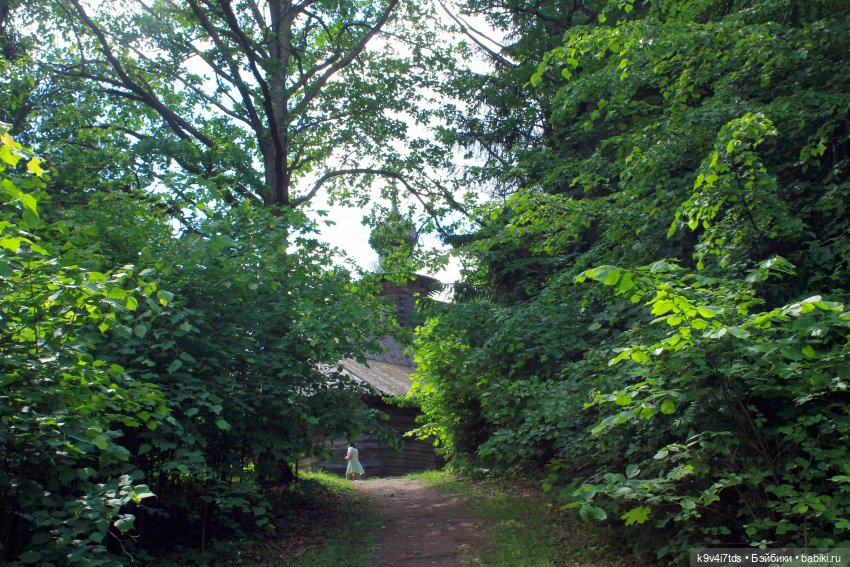 "Троицкие гуляния" в Василёво 2021 г., продолжение