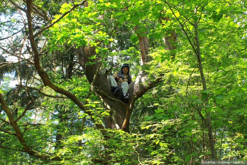 "Троицкие гуляния" в Василёво 2021 г., продолжение