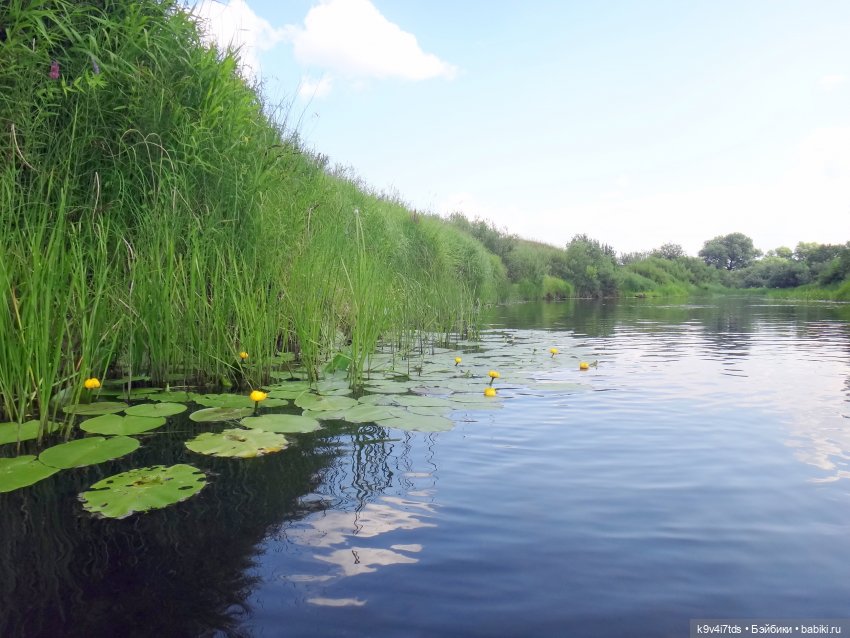 Русалочьи места — Домашние коллекции кукол: фото собраний (фото 4)