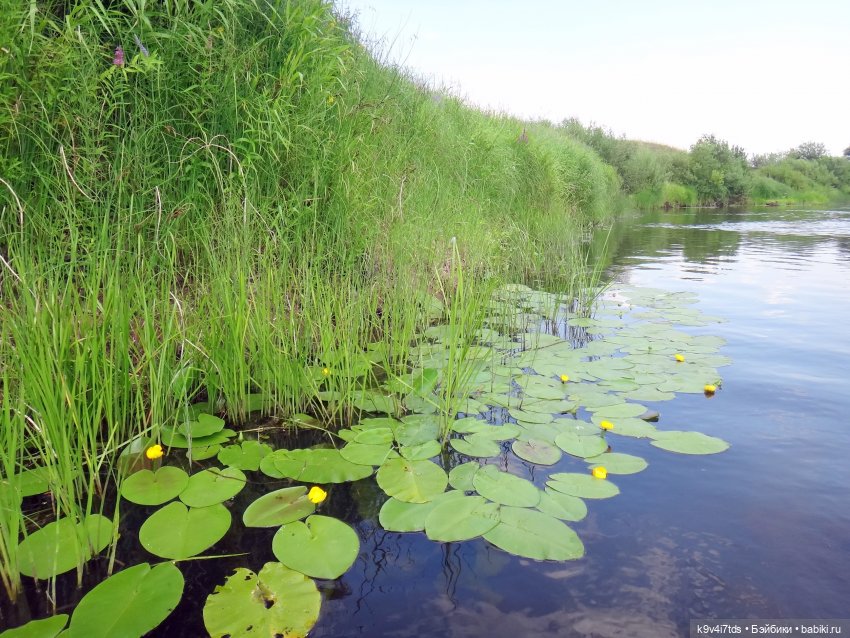 Русалочьи места — Домашние коллекции кукол: фото собраний (фото 3)