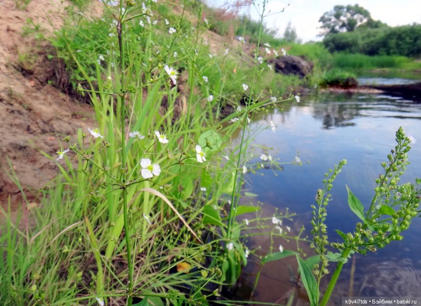 Русалочьи места — Домашние коллекции кукол: фото собраний