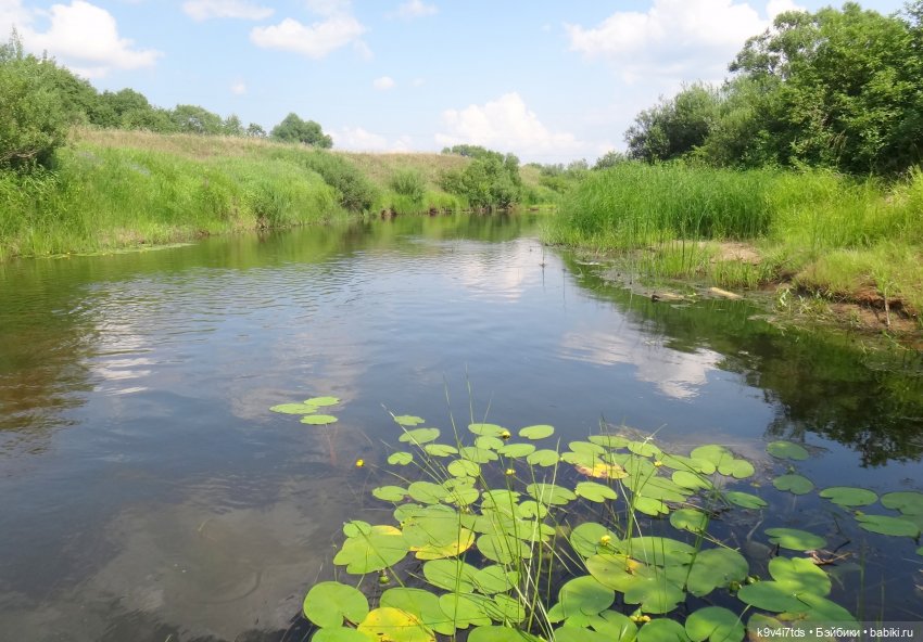 Русалочьи места — Домашние коллекции кукол: фото собраний (фото 2)