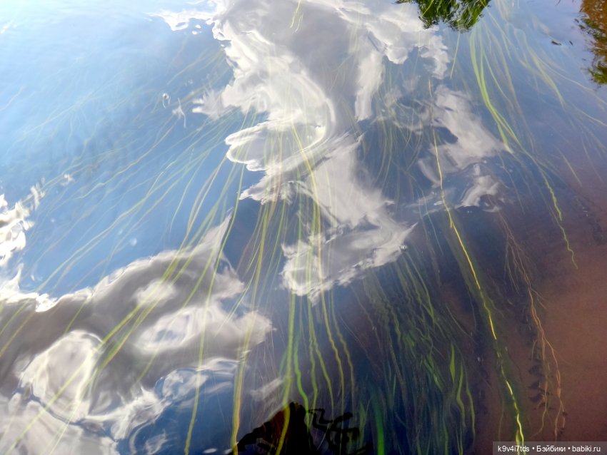 Русалочьи места — Домашние коллекции кукол: фото собраний