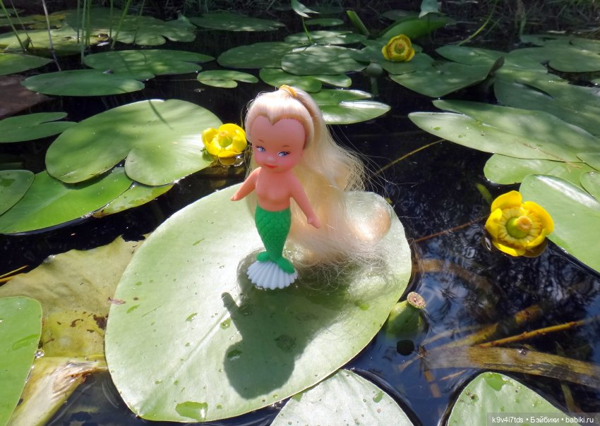 Русалочьи места — Домашние коллекции кукол: фото собраний