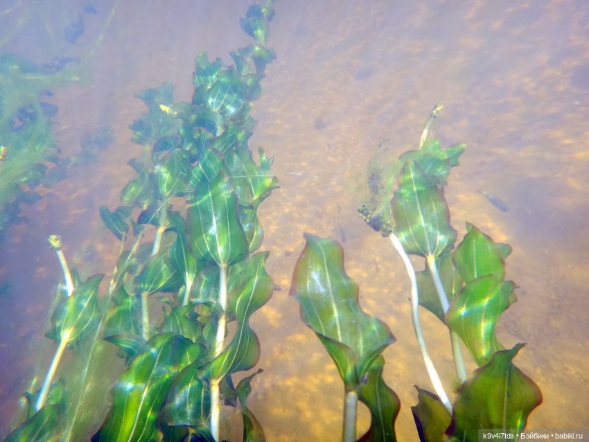 Русалочьи места — Домашние коллекции кукол: фото собраний