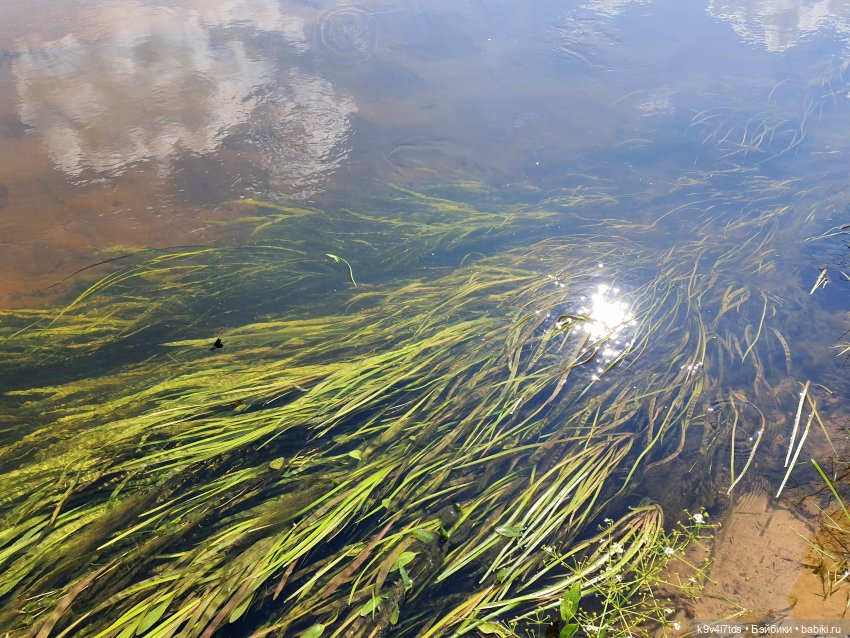 Русалочьи места — Домашние коллекции кукол: фото собраний
