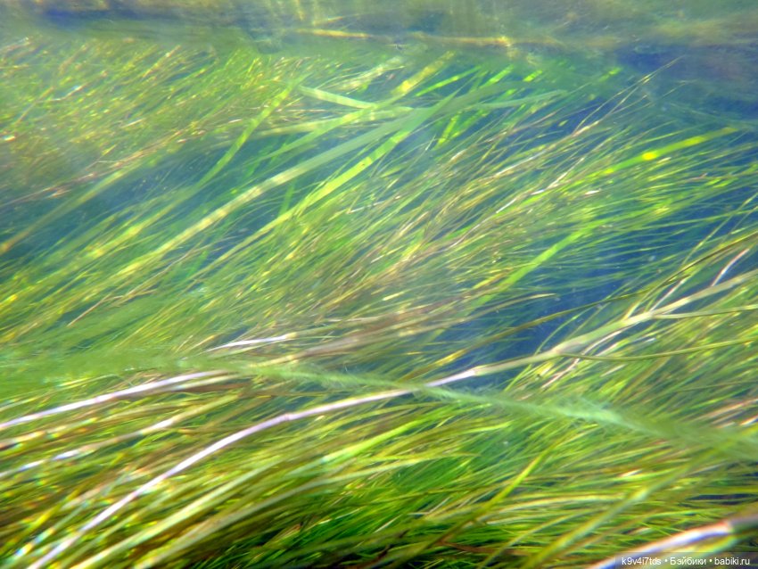 Русалочьи места — Домашние коллекции кукол: фото собраний