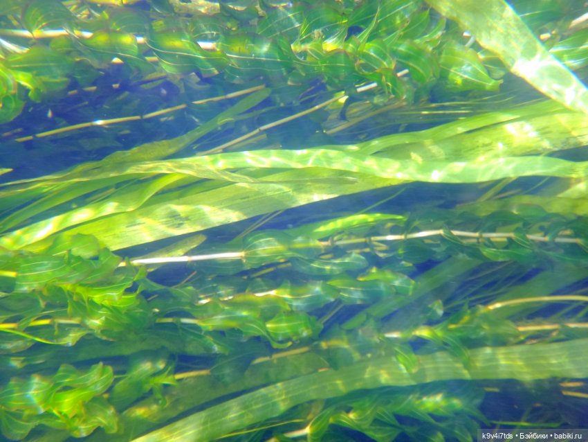 Русалочьи места — Домашние коллекции кукол: фото собраний