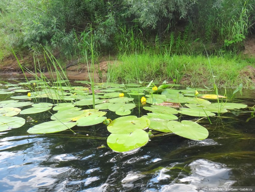 Русалочьи места — Домашние коллекции кукол: фото собраний (фото 10)