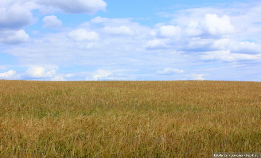 Где живёт Фея Летнего Дождя (фото 5)