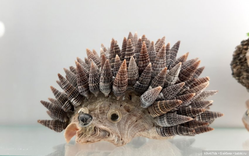 Мармеладная Сказка — Туризм и путешествия: фотоотчеты из поездок