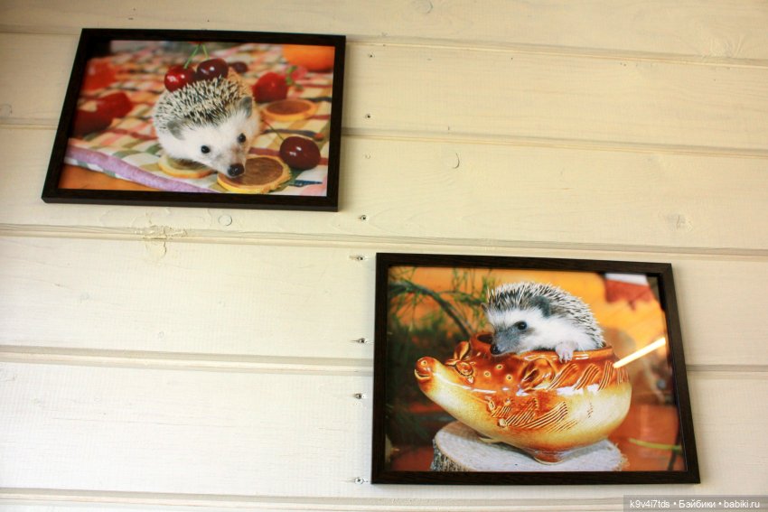 Мармеладная Сказка — Туризм и путешествия: фотоотчеты из поездок