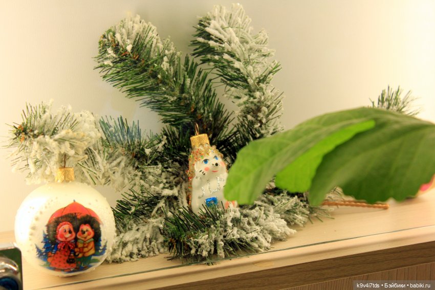 Мармеладная Сказка — Туризм и путешествия: фотоотчеты из поездок