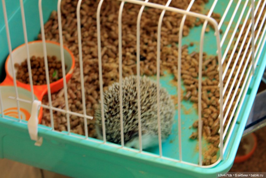 Мармеладная Сказка — Туризм и путешествия: фотоотчеты из поездок