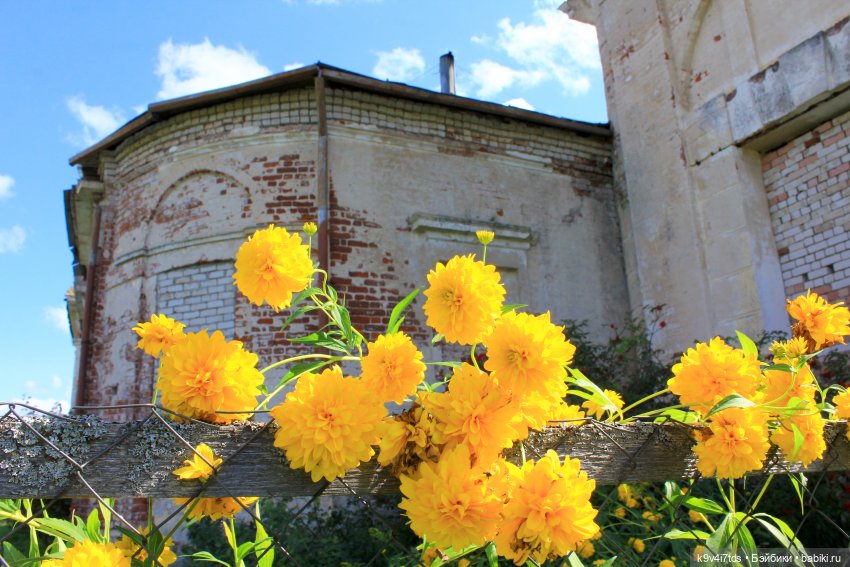 Сонечкин Август — Куклы Sylvia Natterer (Сильвия Наттерер): Gotz (фото 7)