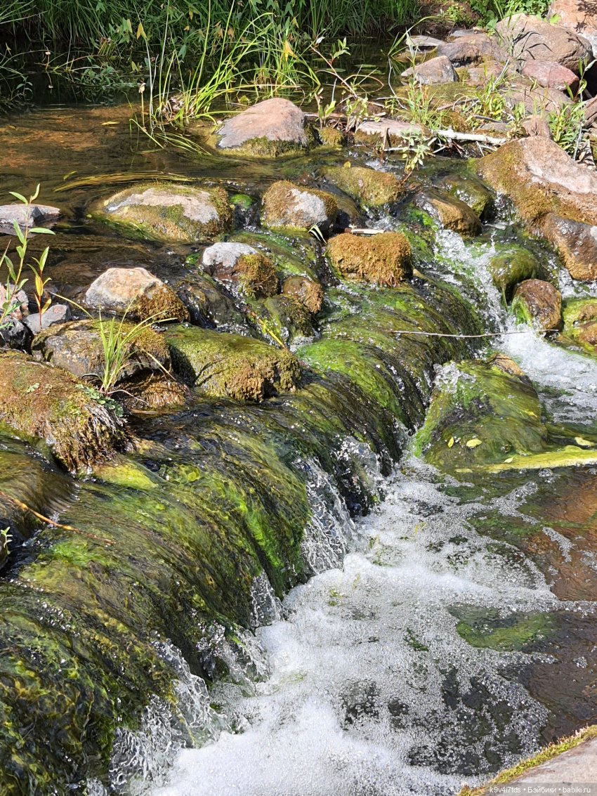 Сонечкин Август — Куклы Sylvia Natterer (Сильвия Наттерер): Gotz